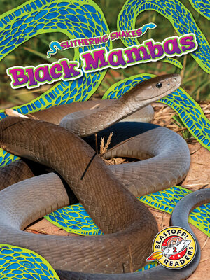 cover image of Black Mambas